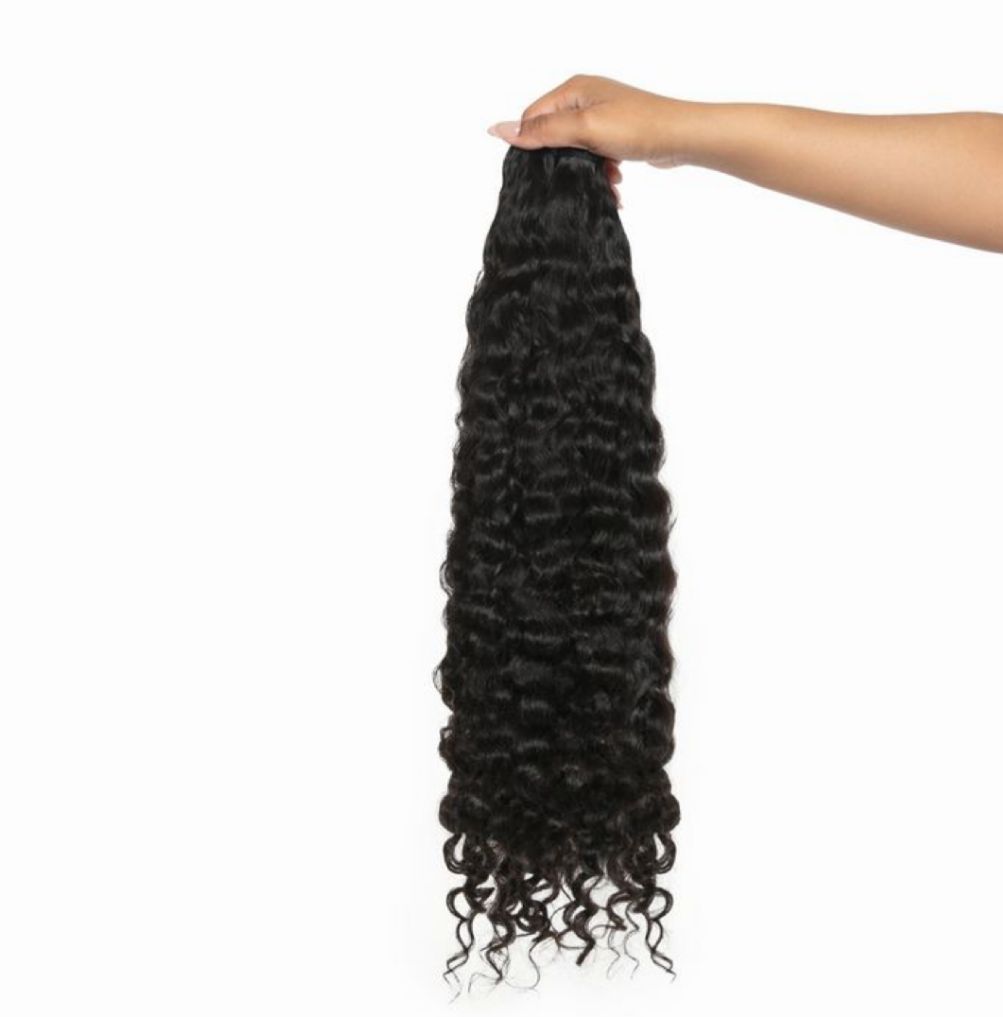 BURMESSE CURLY